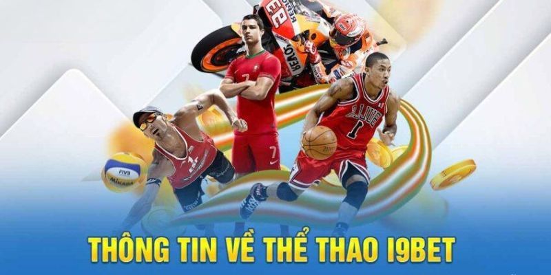 Nhờ vào chất lượng, thể thao I9BET luôn được người chơi tin tưởng